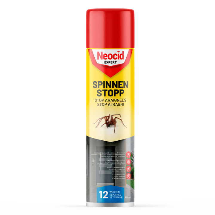 Image of Neocid Spinnen-Stopp Spray, 400 ml Insektenbekämpfung bei Do it + Garden von Migros