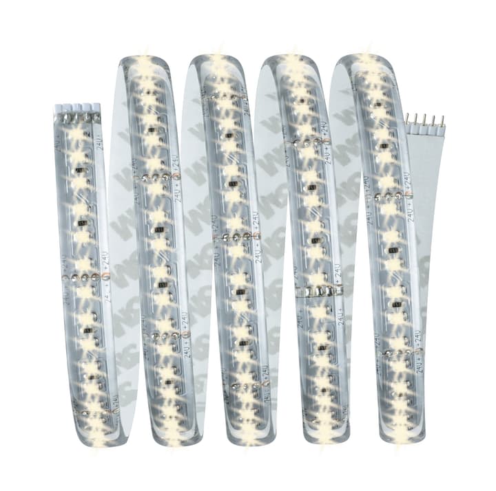 Image of Paulmann MaxLED 1000 Basisset 1,5 m, Warmweiss Light-Strip