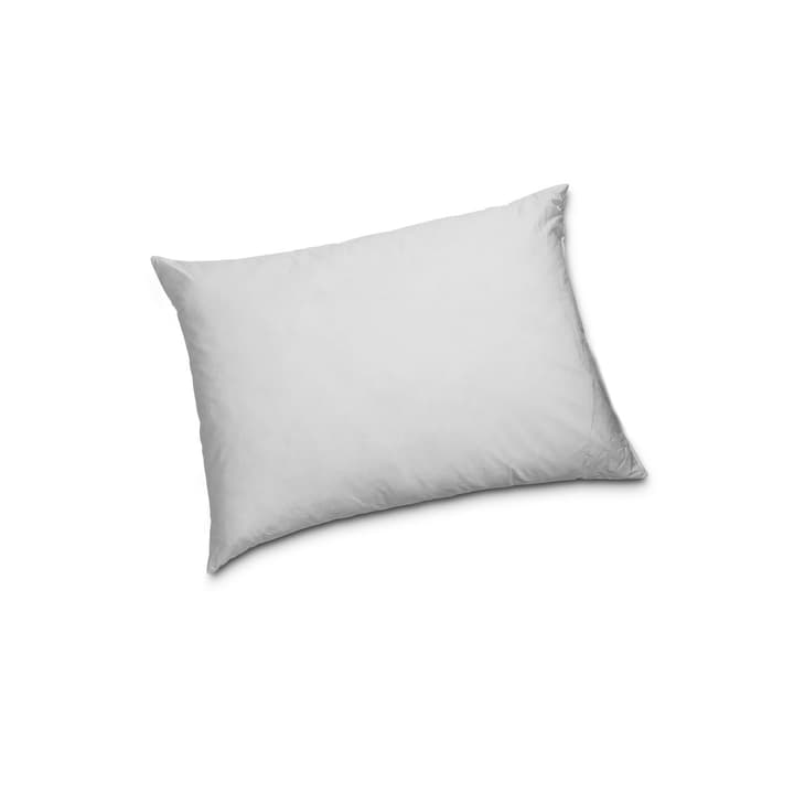 CLASSIC LOW Cuscino di piume di qualità superiore con protezione contro gli acari della polvere CLASSIC LOW Cuscino di piume di qualità superiore con protezione contro gli acari della polvere 376050800000 Colore Bianco Dimensioni L: 50.0 cm x L: 70.0 cm N. figura 1