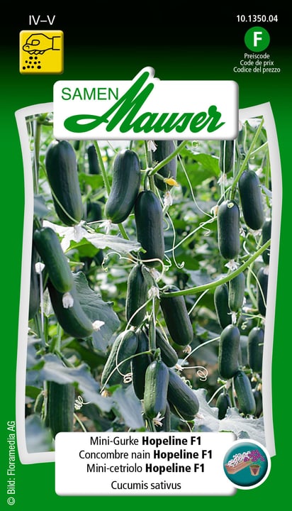 Image of Samen Mauser MiniGurke Hopeline F1 Gemüsesamen bei Do it + Garden von Migros