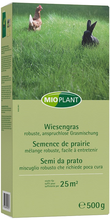Image of Mioplant Wiesengras, 25 m2 Rasensamen