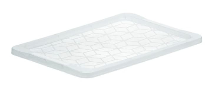 Image of Rotho Evo Easy Deckel für Boxen 30-44-65 l bei Do it + Garden von Migros