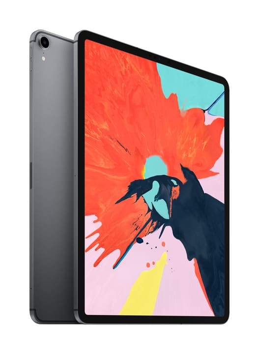 Apple iPad Pro 12.9 LTE 256GB spacegray iPad Pro 12.9 LTE 256GB spacegray Apple 798463300000 Photo no. 1