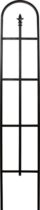 Image of Windhager Rankgitter ARCH 152 x 26cm Stützgitter bei Do it + Garden von Migros