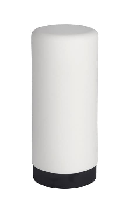 Image of WENKO Easy Squeeze Spülmittelspender