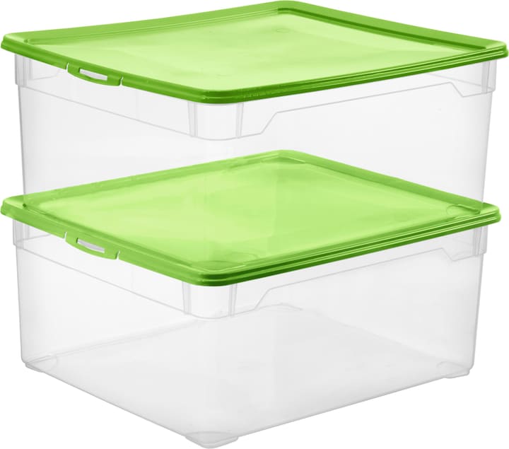 Image of Rotho Clear Sweater 18 l mit Deckel, 2er-Set Aufbewahrungsbox bei Do it + Garden von Migros