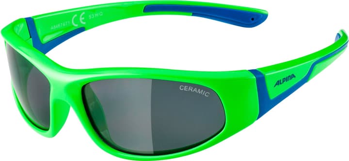 Image of Alpina Flexxy Junior Sportbrille grün