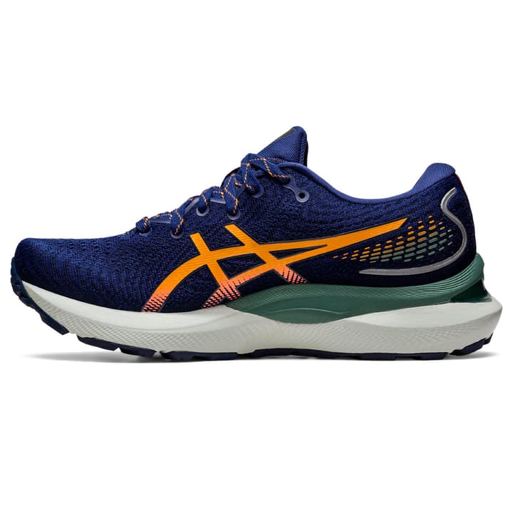 Image of Asics Gel Cumulus 24 TR Runningschuhe blau