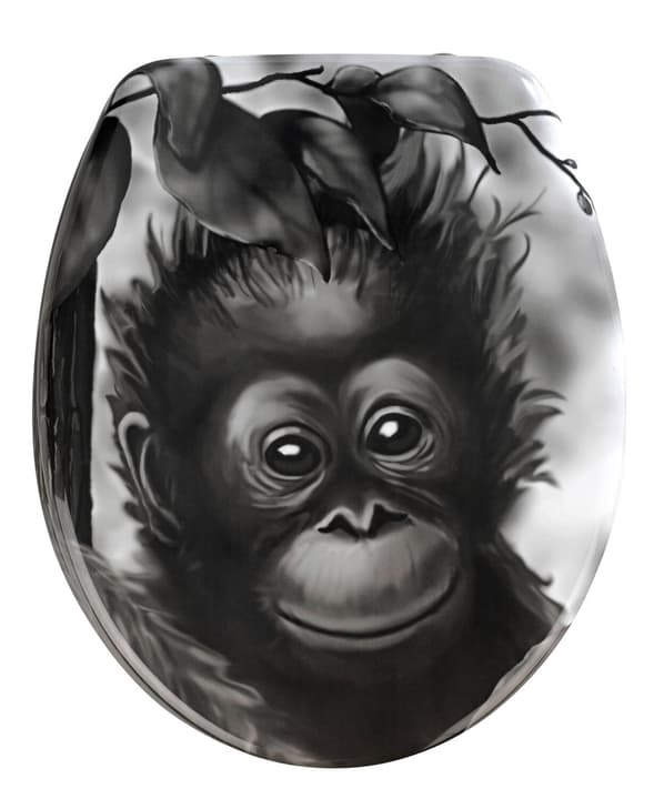 Image of WENKO Affe WC-Sitz bei Do it + Garden von Migros