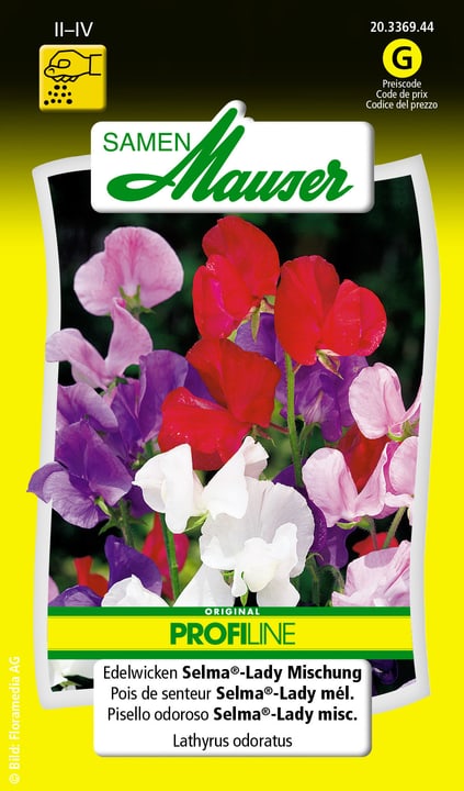Image of Samen Mauser Edelwicken Selma®-Lady Mischung Blumensamen