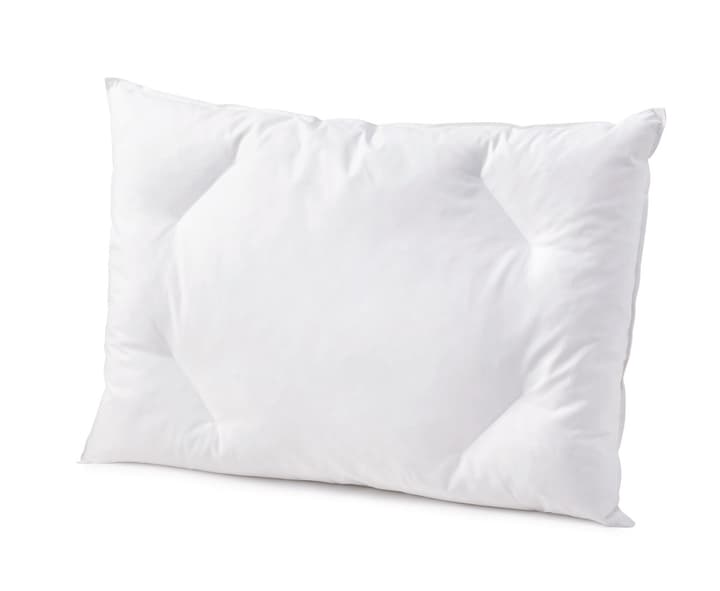 DIVERSO medium Cuscino piatto con piumette di qualità e protezione antiacari DIVERSO medium Cuscino piatto con piumette di qualità e protezione antiacari 451746410610 Colore Bianco Dimensioni L: 65.0 cm x P: 65.0 cm N. figura 1