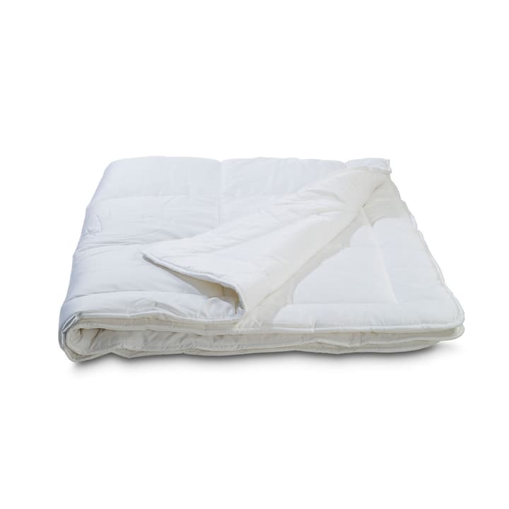 BAMBOO Piumino in fibra naturale BAMBOO Piumino in fibra naturale 376041900000 Colore Bianco Dimensioni L: 210.0 cm x L: 160.0 cm N. figura 1