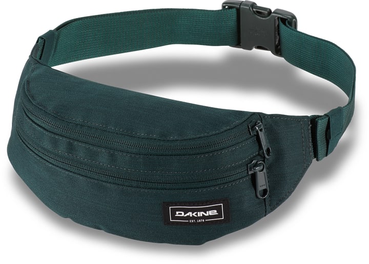 dakine bauchtasche