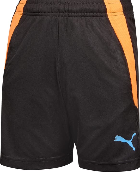 Image of Puma teamLIGA Training Shorts 2 Jr Fussballshort schwarz