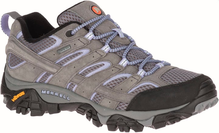 Image of Merrell Moab 2 Leather GTX Multifunktionsschuh grau