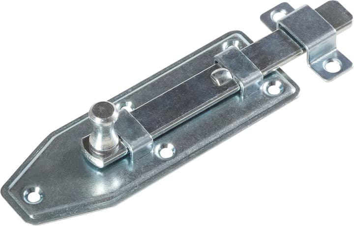Image of Riegel gerade verzinkt 100 x 35 mm