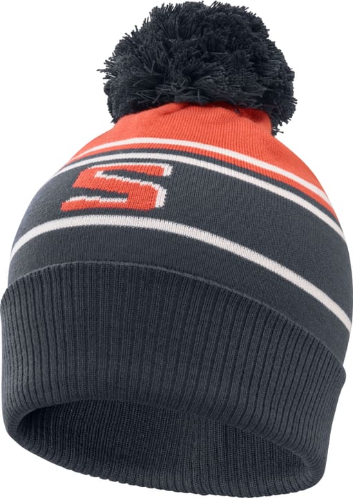 Image of Salomon Heritage Beanie Mütze blau bei Migros SportXX