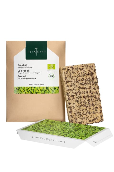 Image of Heimgart Brokkoli Sprossen und Keimlinge bei Do it + Garden von Migros