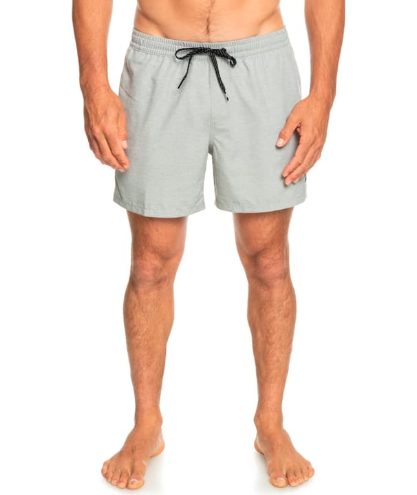 Image of Quiksilver Everyday Deluxe Volley 15 Badeshorts hellgrau