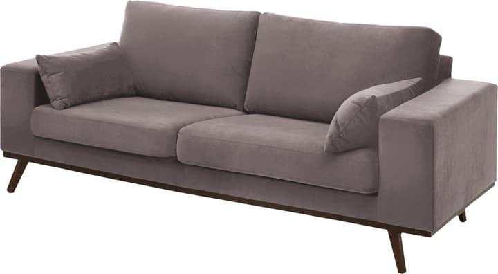 MORITZ Canapé 2.5 places MORITZ Canapé 2.5 places 405741925380 Couleur Gris Dimensions L: 218.0 cm x P: 90.0 cm x H: 81.0 cm Photo no. 1