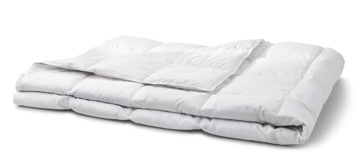 OPTIMADAUN light Couette légère avec 60% de duvet OPTIMADAUN light Couette légère avec 60% de duvet 451744912310 Couleur Blanc Dimensions L: 160.0 cm x P: 210.0 cm Photo no. 1