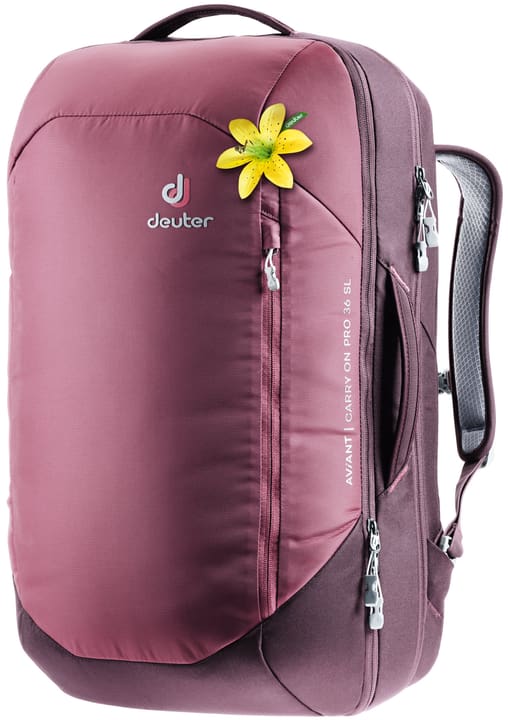 Image of Deuter AViant Carry On Pro Reiserucksack himbeer bei Migros SportXX