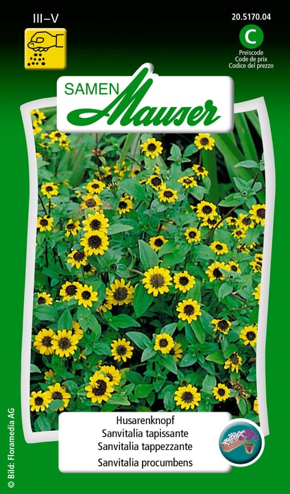 Image of Samen Mauser Husarenkopf Blumensamen bei Do it + Garden von Migros