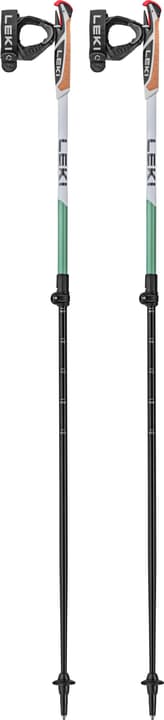 Image of Leki Spin Shark SL Nordic Walking Stock