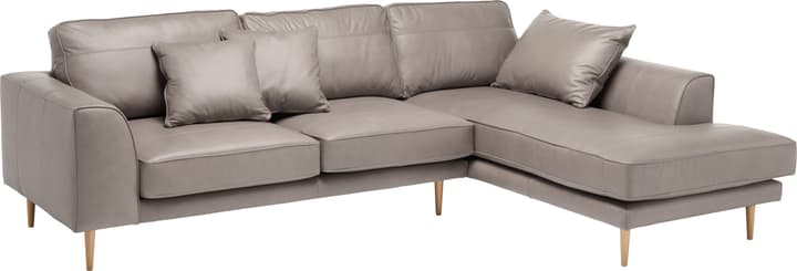 ADLER Canapé d'angle ADLER Canapé d'angle 405729650080 Couleur Gris Dimensions L: 295.0 cm x P: 202.0 cm x H: 90.0 cm Photo no. 1
