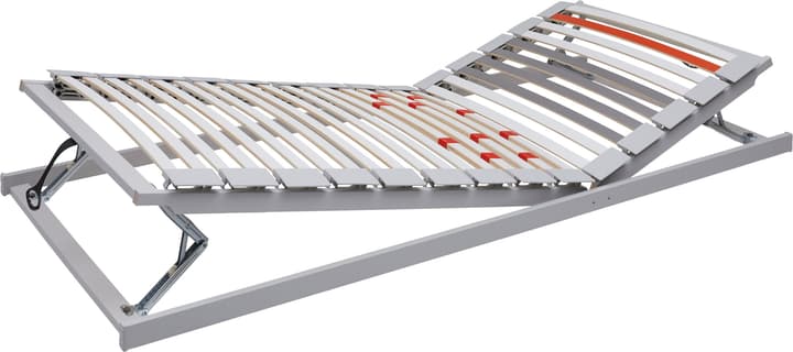 mydream by superba FLEX II RELAX Telaio inseribile FLEX II RELAX Telaio inseribile mydream by superba 404543812000 Larghezza 120.0 cm Lunghezza 200.0 cm N. figura 1