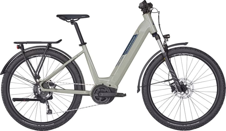 Image of Crosswave DELUXE-Wave Lowsteps E-Bike 25km/h hellgrau