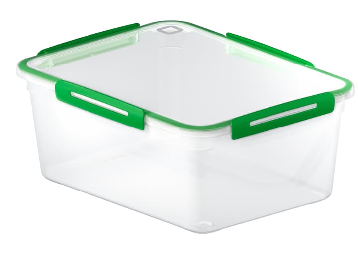 Image of Rotho Kühlschrankdose 5 l MEMORY Küche bei Do it + Garden von Migros