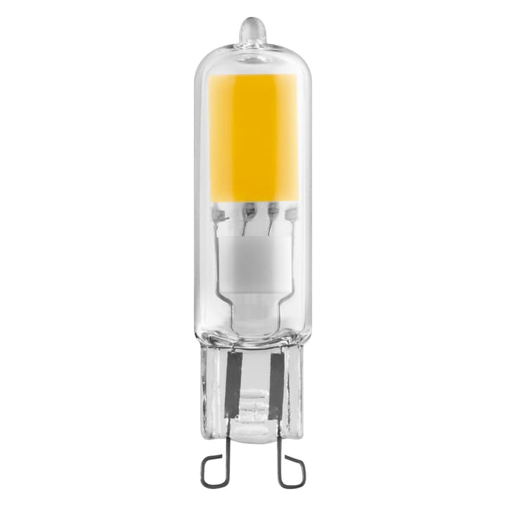 Image of Osram BASE PIN 30 2.6W LED Lampe bei Do it + Garden von Migros