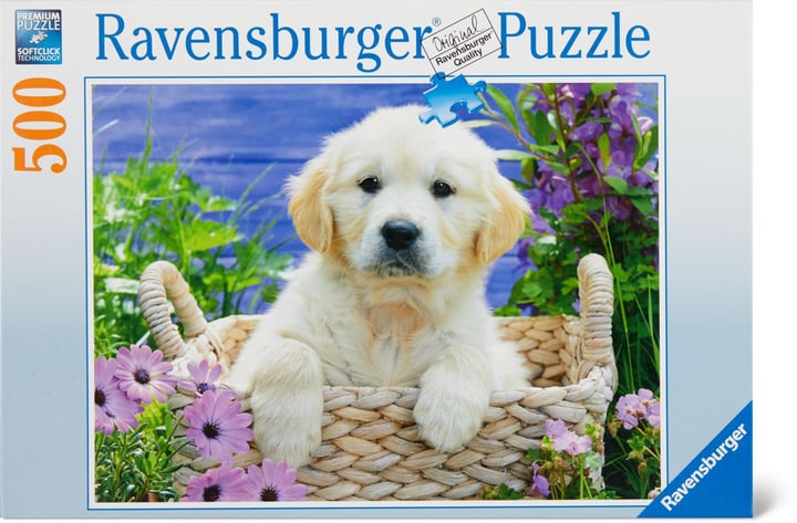 Golden Retriever RVB PUZZLE 500 Golden Retriever RVB PUZZLE 500 748981400000 Bild Nr. 1