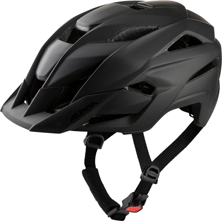 Image of Alpina Kamloop Velohelm schwarz