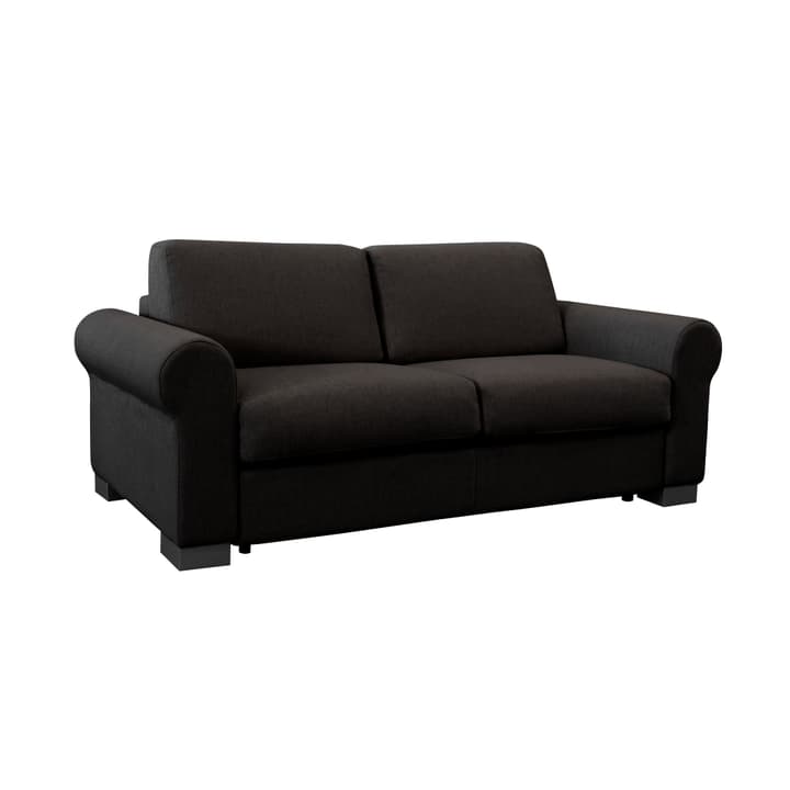 OPUS Bettsofa OPUS Bettsofa 402936000000 Grösse B: 162.0 cm x T: 204.0 cm x H: 82.0 cm Farbe Dunkelgrau Bild Nr. 1