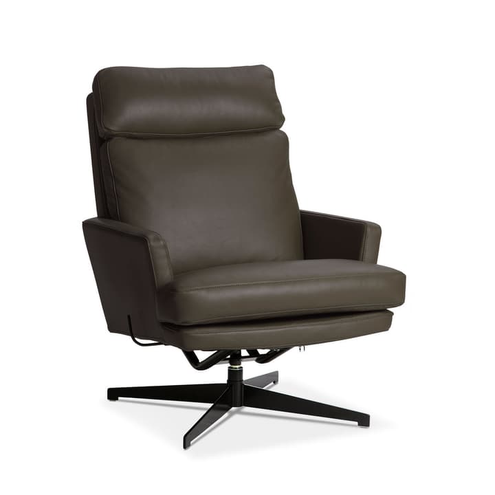 AIDEN Sessel AIDEN Sessel 360049649802 Grösse B: 75.0 cm x T: 90.0 cm x H: 105.0 cm Farbe Braun Bild Nr. 1