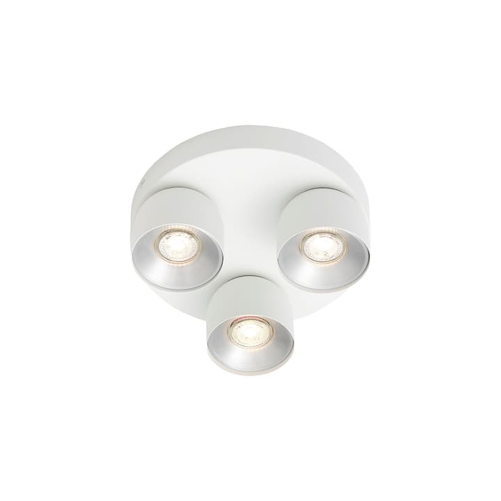 Spot PITCHER