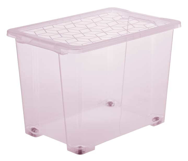 Image of Rotho EVO EASY Box 65 l mit Deckel Aufbewahrungsbox bei Do it + Garden von Migros