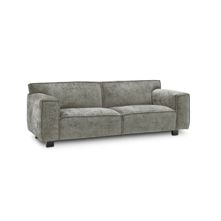 VESTA Eros 2.5er Sofa VESTA Eros 2.5er Sofa 360032705404 Grösse B: 216.0 cm x T: 96.0 cm x H: 74.0 cm Farbe Hellgrau Bild Nr. 1