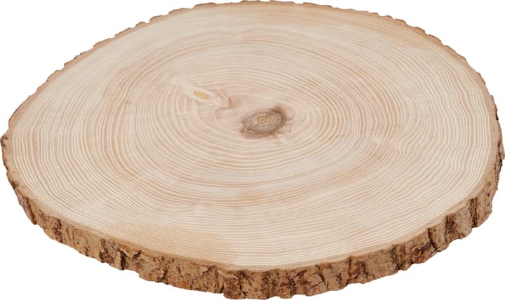 Image of Legna Creativa Rinden Brett rund mittel bei Do it + Garden von Migros
