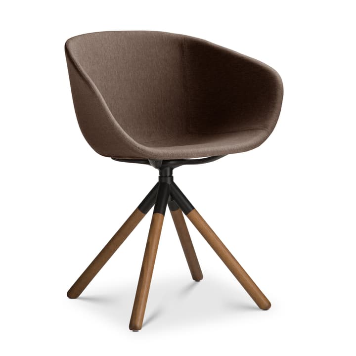 SEDIA Chaise avec accoudoirs SEDIA Chaise avec accoudoirs 366188000000 Dimensions L: 45.0 cm x P: 58.0 cm x H: 88.5 cm Couleur Brun Photo no. 1