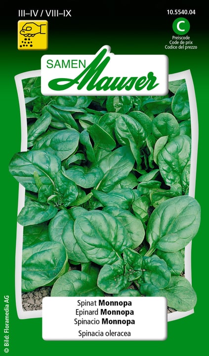 Image of Samen Mauser Spinat Monnopa Gemüsesamen bei Do it + Garden von Migros