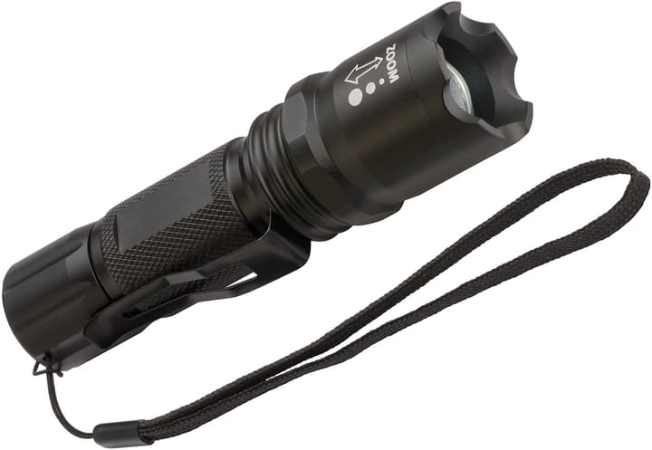 Image of Brennenstuhl TL250F Lux Premium Taschenlampe bei Do it + Garden von Migros