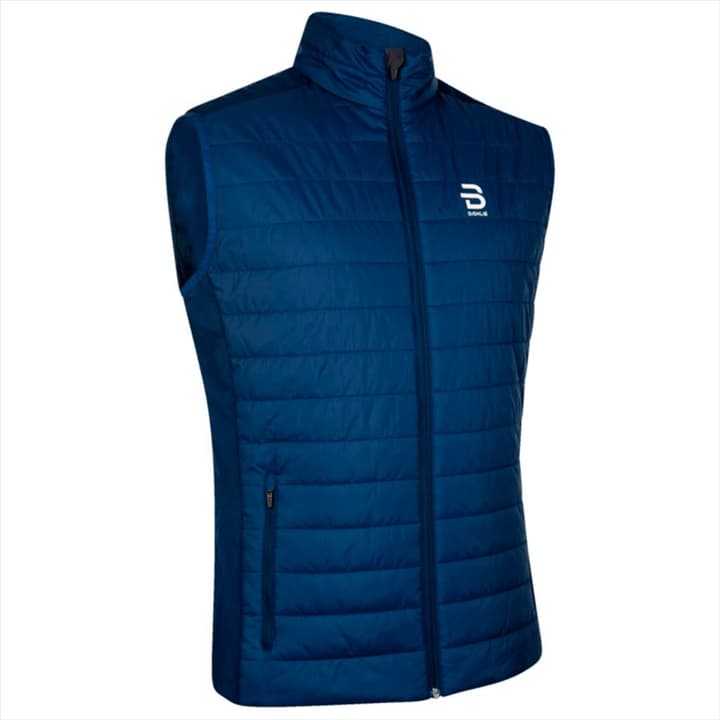 Image of Daehlie M Vest Graphlite Weste blau