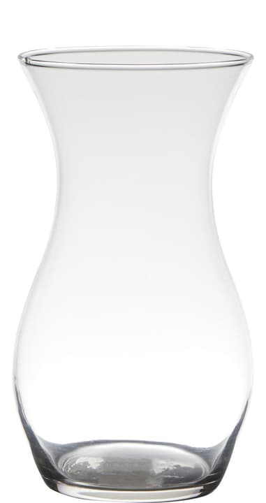 Image of Hakbjl Glass Tuck Vase bei Do it + Garden von Migros