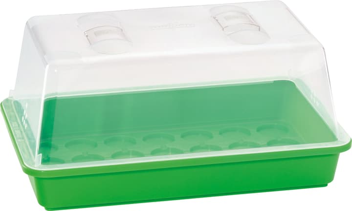 Image of Romberg Gewächshaus M (38x24x19cm) Anzucht bei Do it + Garden von Migros