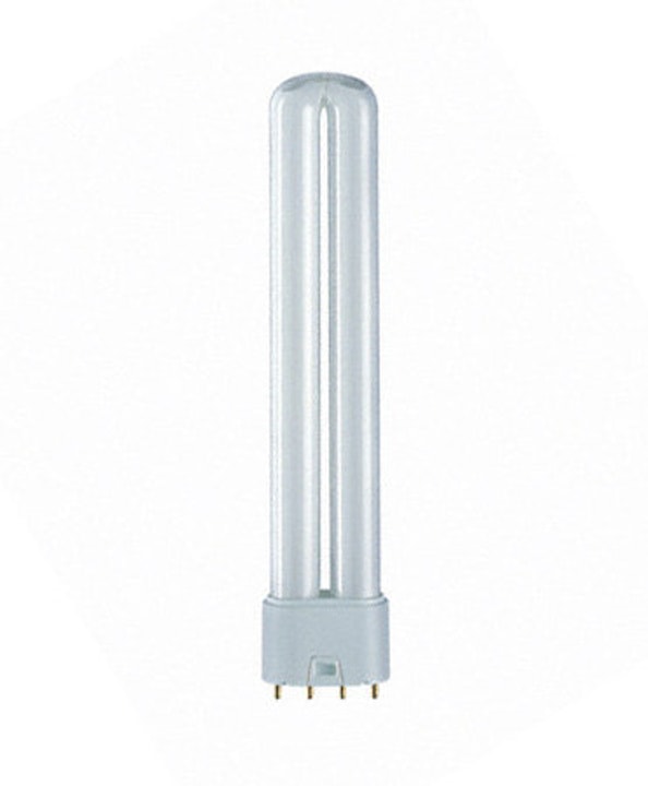 Image of Osram DULUX L 38W Energiesparlampe