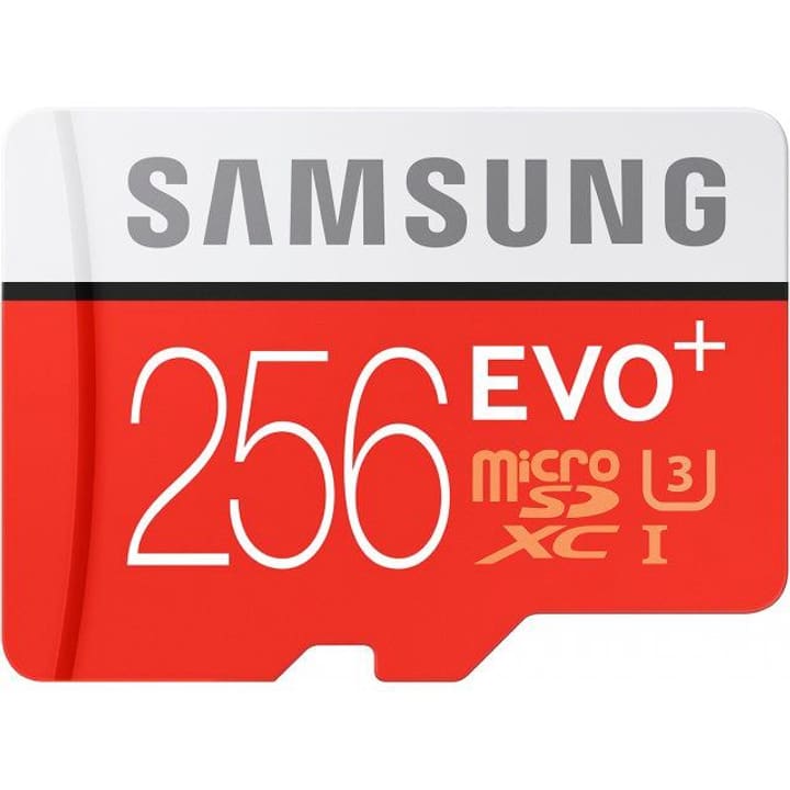 Samsung Scheda di memoria Evo Plus microSDXC 256 GB Scheda di memoria Evo Plus microSDXC 256 GB Scheda di memoria Evo Plus microSDXC 256 GB Scheda di memoria Evo Plus microSDXC 256 GB Samsung 798223800000 N. figura 1