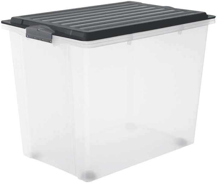 Image of Rotho Compact 70 l mit Deckel und Rollen, A3 Aufbewahrungsbox bei Do it + Garden von Migros
